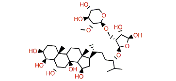 Kurilensoside D